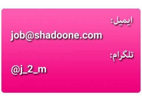 استخدام نویسنده سایت