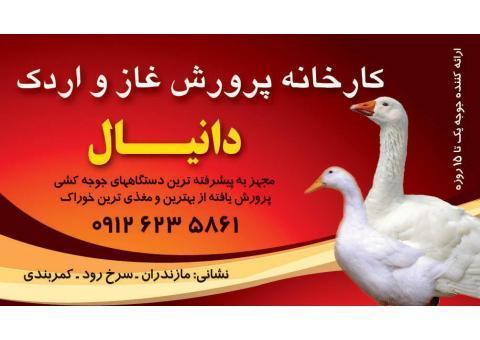 کارخانه پرورش غاز و اردک دانیال