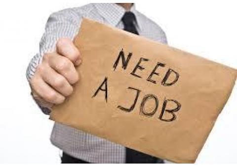 همکاری شرکت  آراد با دانشجویان و فارغ التحصیلان