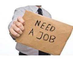 آگهی رایگان