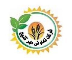 آگهی رایگان