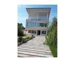 آگهی رایگان