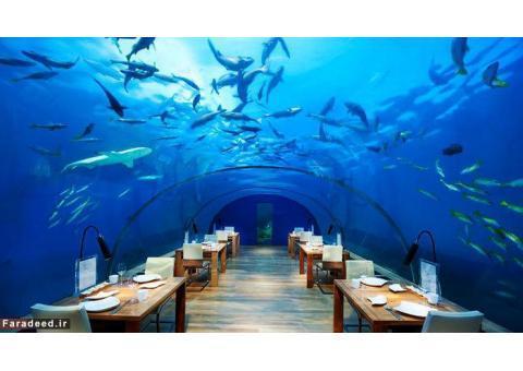 تور جزیره زیبای کیش