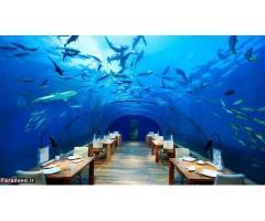 آگهی رایگان