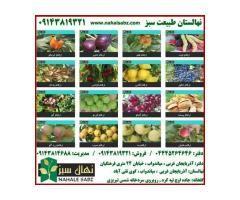 آگهی رایگان