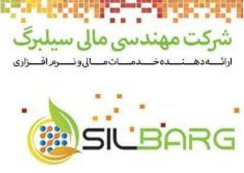 شرکت مهندسی مالی سیلبرگ