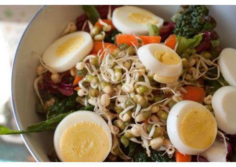 اتاق کشت جوانه رویشگر