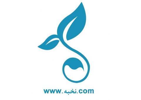 از ایده تا ثروت کنار شماییم!