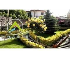 آگهی رایگان