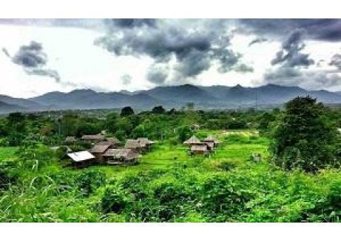 تور 15 روزه  تایلند