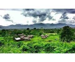 آگهی رایگان