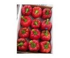 آگهی رایگان