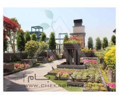 آگهی رایگان