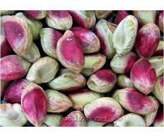 آگهی رایگان