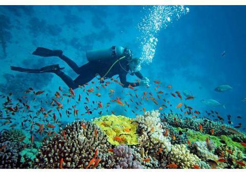 پکیج تور ارزان قشم