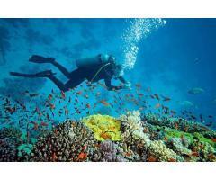 آگهی رایگان