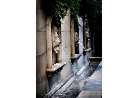 محوطه سازی, طراحی باغ عروسی ،