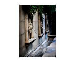 آگهی رایگان