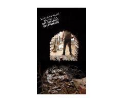 آگهی رایگان