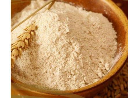 راه اندازی خط تولید ارد جوانه دستگاه رویشگر