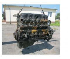 آگهی رایگان