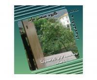 آگهی رایگان