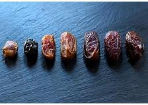 فروش انواع خرما بصورت عمده در بسته بندی های متنوع