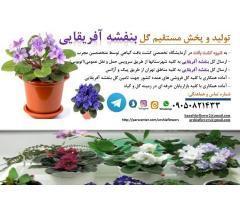 آگهی رایگان