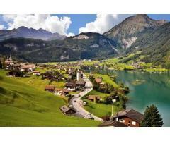 آگهی رایگان