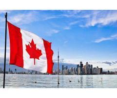 آگهی رایگان