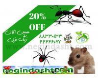 آگهی رایگان