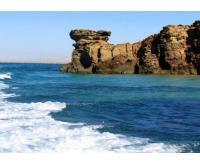 آگهی رایگان