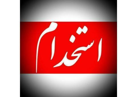 استخدام معلم خصوصی