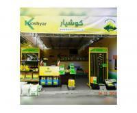 آگهی رایگان