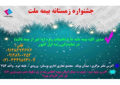 جشنواره فروش بیمه ثالث در بی ریسک شو