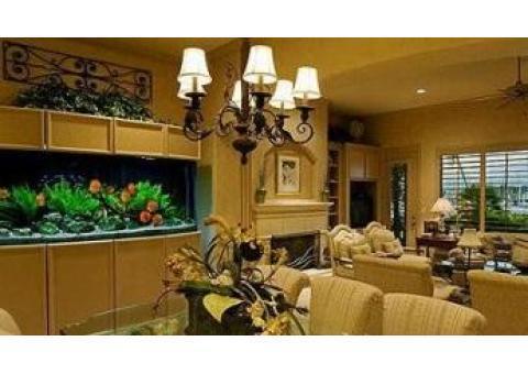 معماری و دکوراسیون داخلی