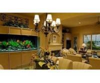 آگهی رایگان