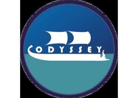 گروه مهاجرتی ادیسه