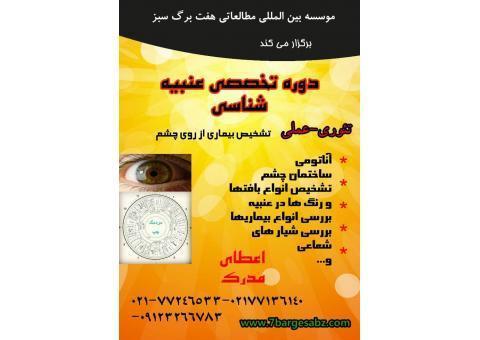 دوره  آموزش گیاهان دارویی, چاقی لاغری, با مدرک