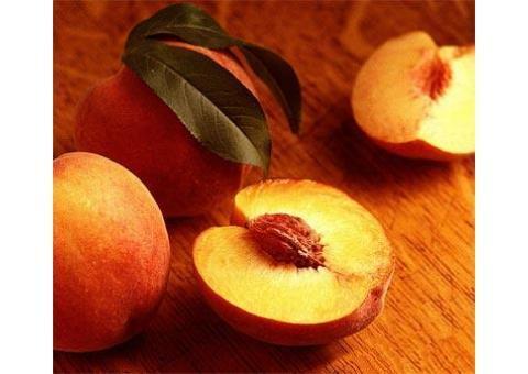فروش پوره هلو اسپتیک صادراتی