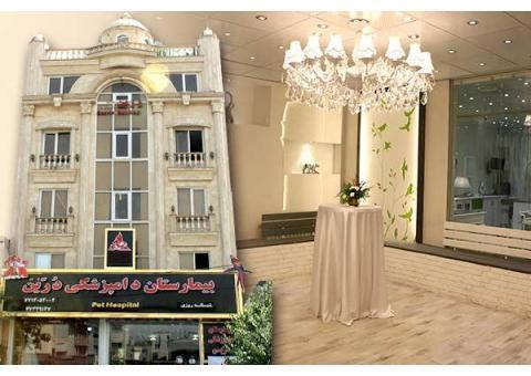 پانسیون و نگهداری حیوانات خانگی درین