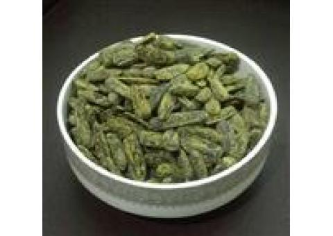 تولید و پخش تخمه آفتاب گردا وشورکاری انواع تخمه