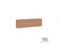 آگهی رایگان