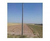 آگهی رایگان