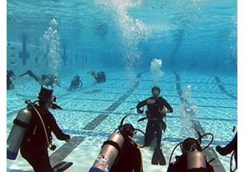 آموزش تخصصی شنا, نجات غریق, هیدروتراپی و غواصی