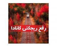 آگهی رایگان