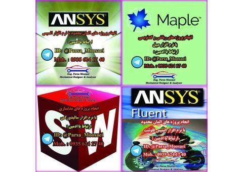 میپل، انسیس، انسیس فلوئنت و سالیدورکس