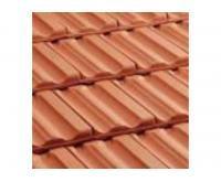 آگهی رایگان