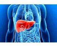 آگهی رایگان