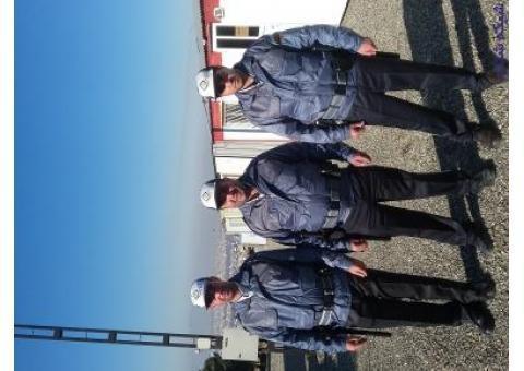 موسسه خدمات حفاظتی و مراقبتی تلاشگران نظم گستر